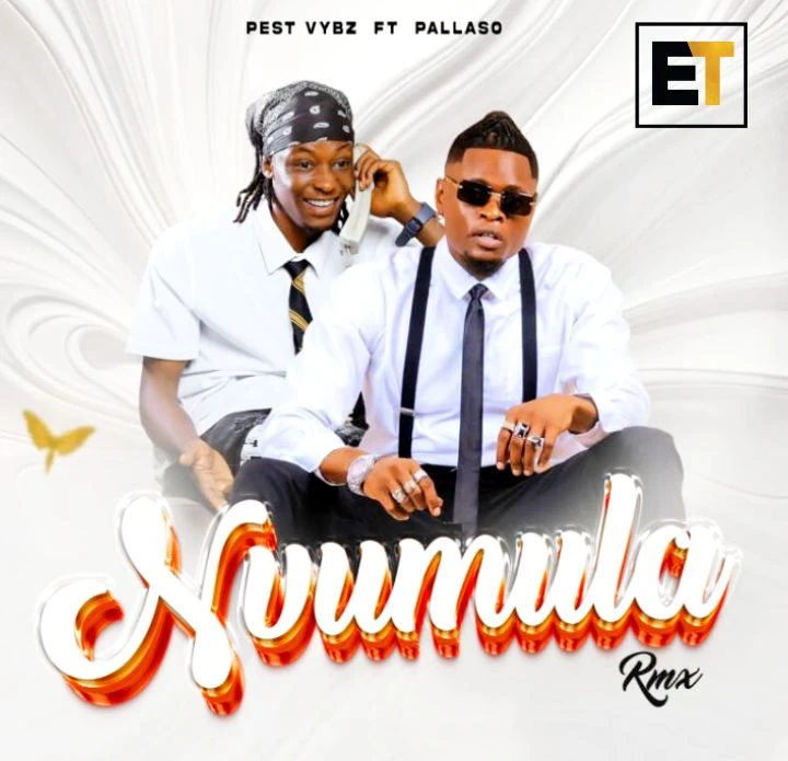 Nvumula Rmx Ft Pest Vybz - Pallaso